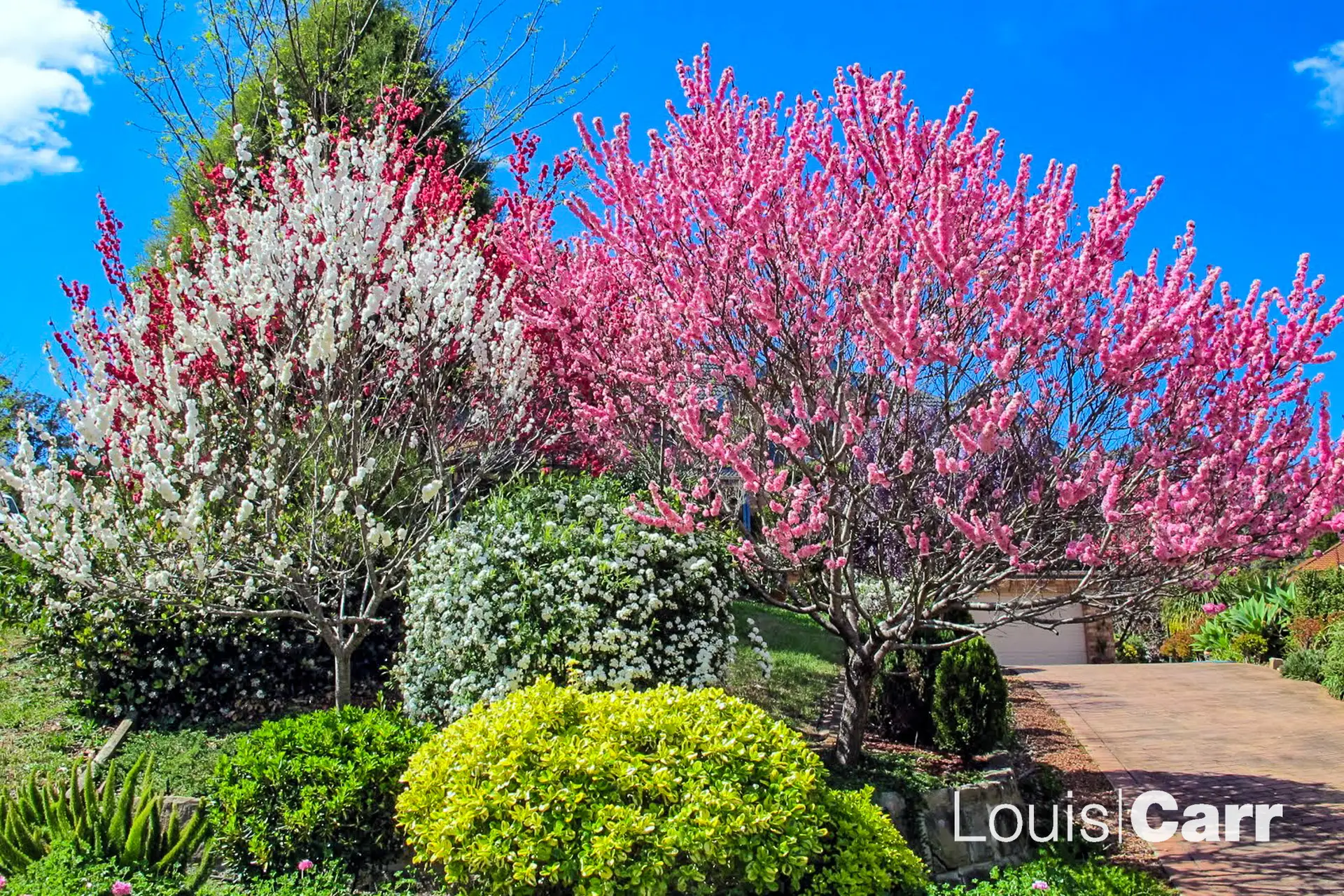 14 Fleur Close, West Pennant Hills Sold by Louis Carr Real Estate - image 14