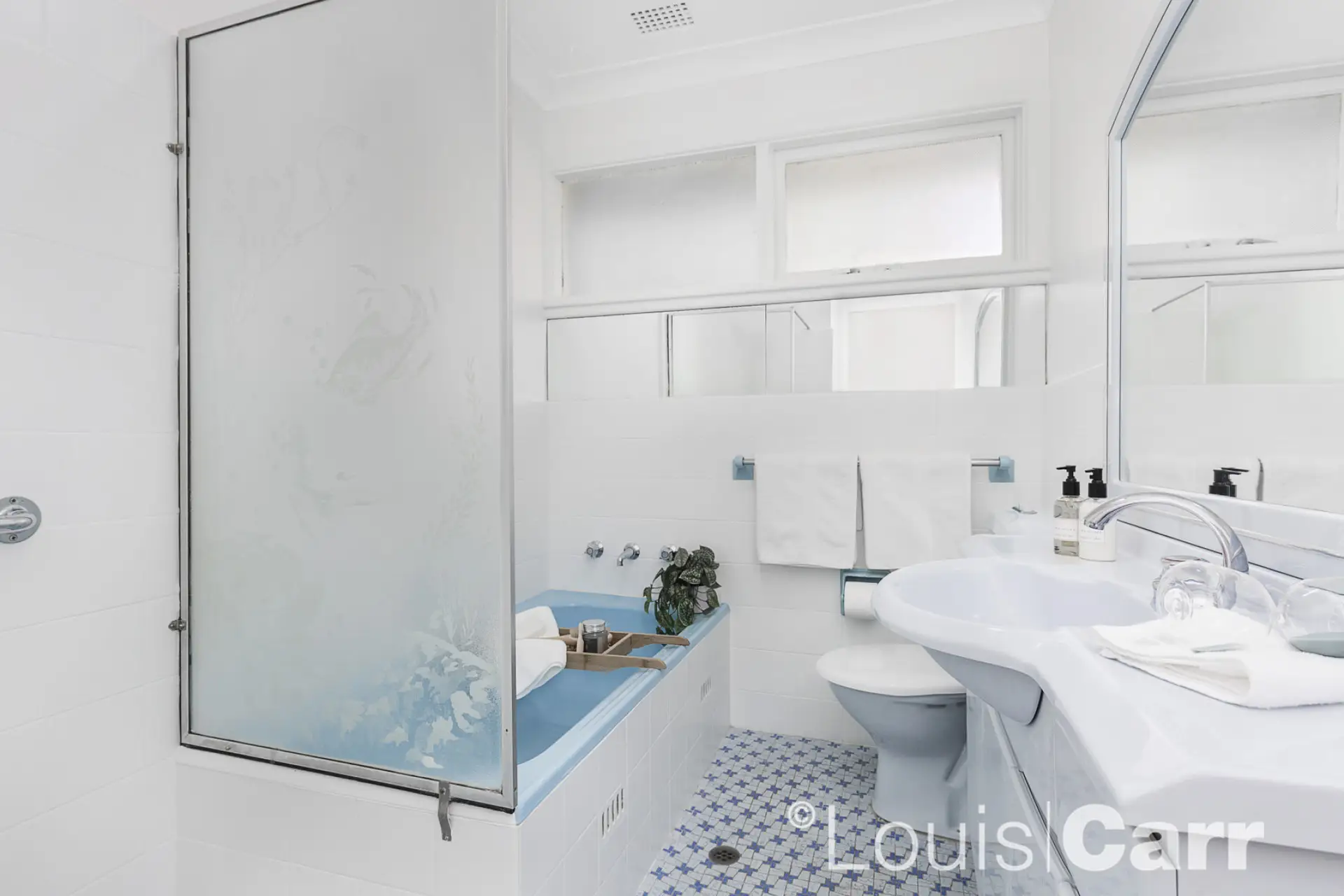 4 Towns Street, Gladesville Sold by Louis Carr Real Estate - image 5