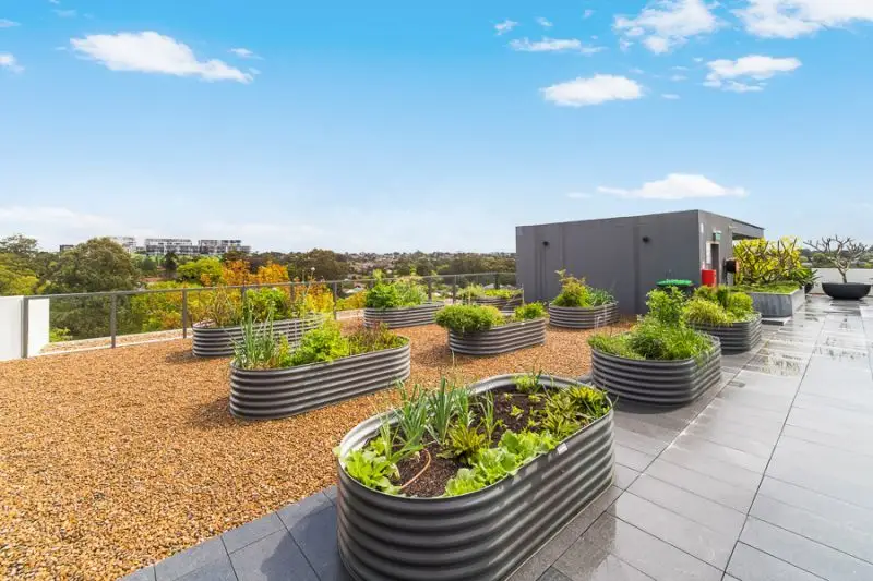101N/1 Lardelli Drive, Ryde Sold by Louis Carr Real Estate - image 7