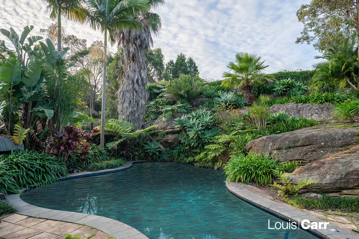 71 Fingal Avenue, Glenhaven Sold by Louis Carr Real Estate - image 8
