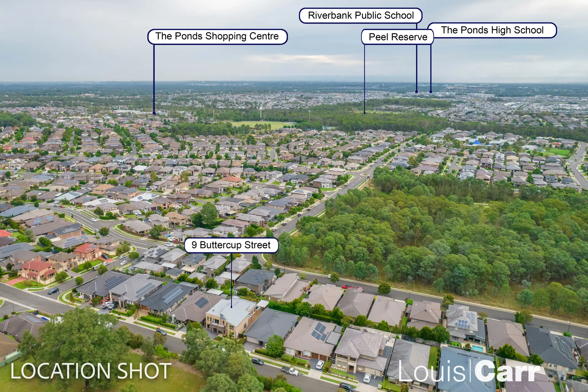 9 Buttercup Street, The Ponds Sold by Louis Carr Real Estate - image 19
