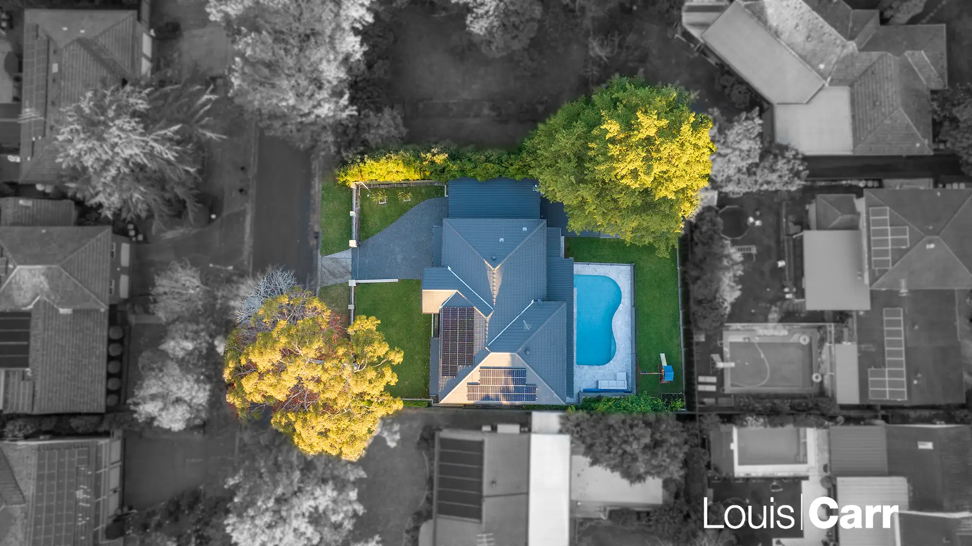 61 Cambewarra Avenue, Castle Hill Sold by Louis Carr Real Estate - image 31