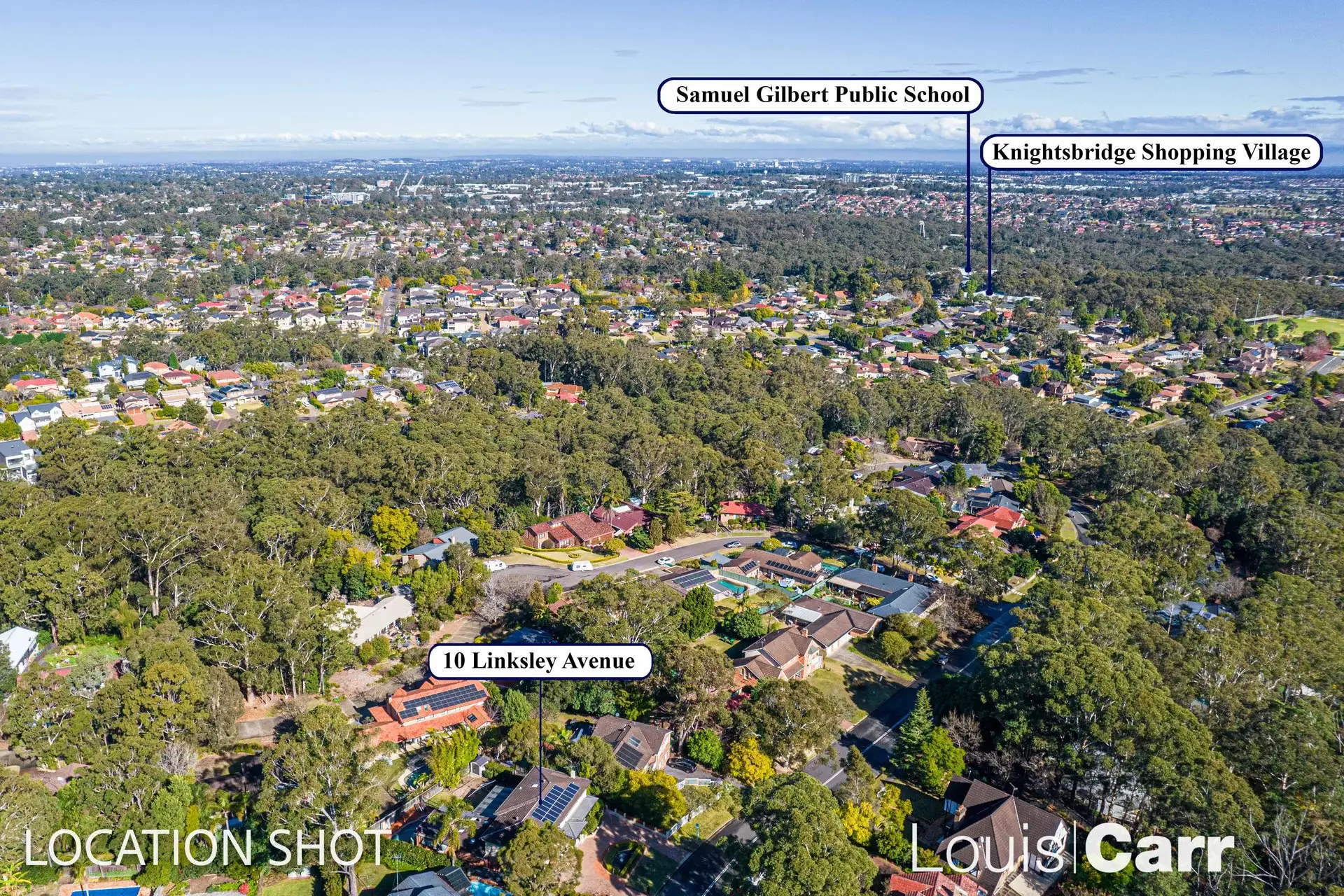 10 Linksley Avenue, Glenhaven Sold by Louis Carr Real Estate - image 16