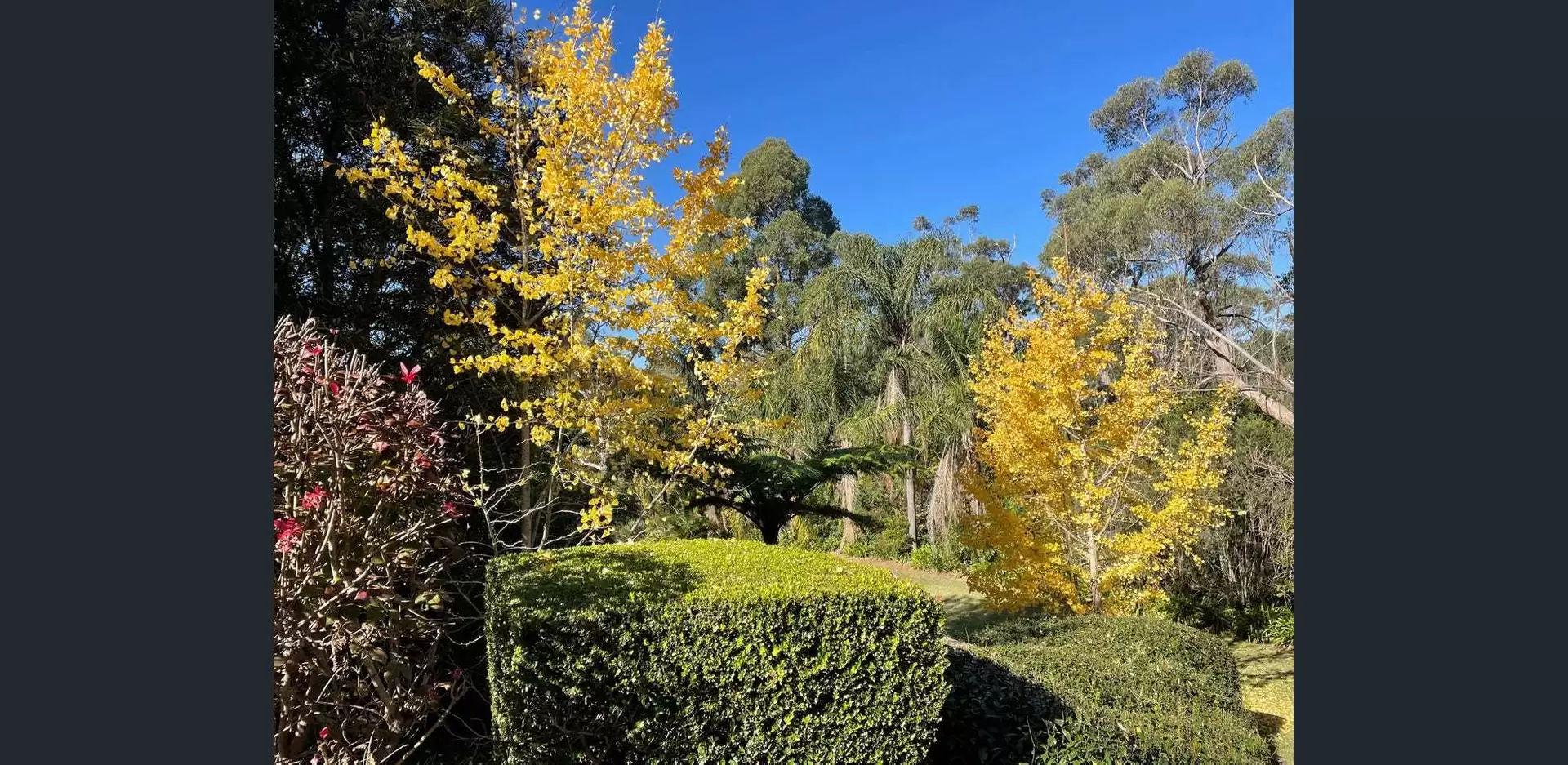 30 Wylds Road, Glenorie Sold by Louis Carr Real Estate - image 1