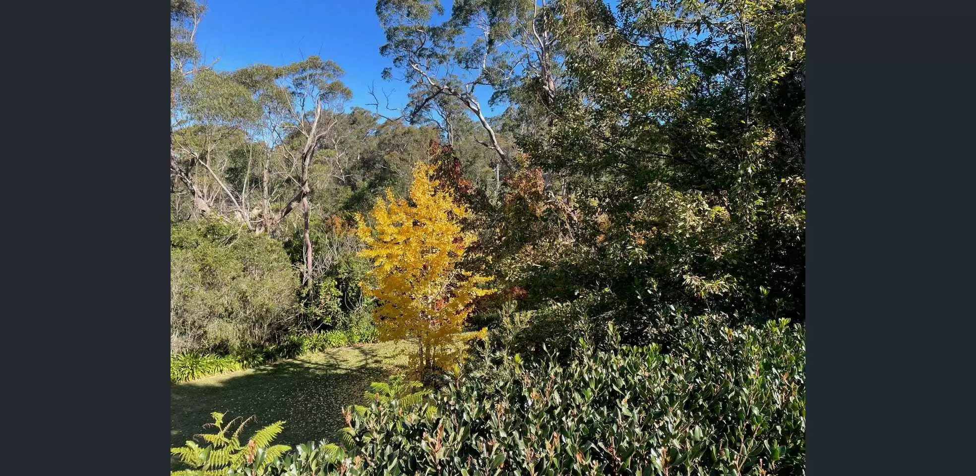 30 Wylds Road, Glenorie Sold by Louis Carr Real Estate - image 17