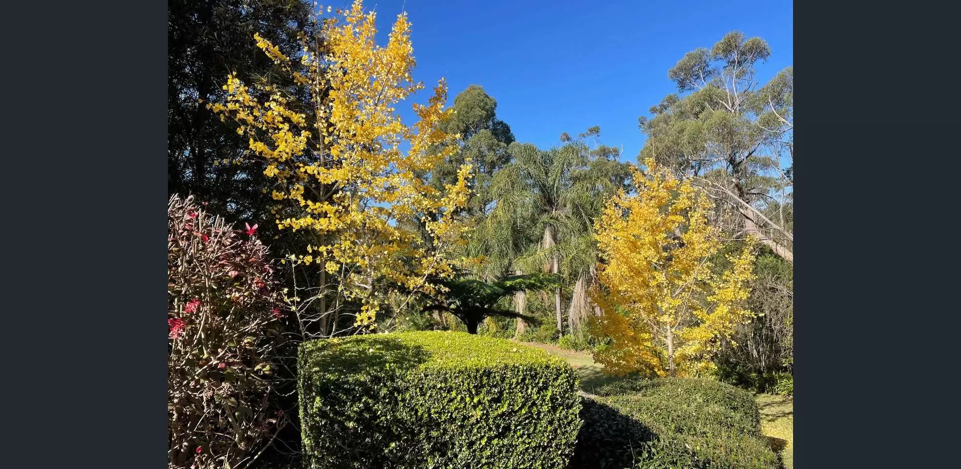 30 Wylds Road, Glenorie Sold by Louis Carr Real Estate - image 12
