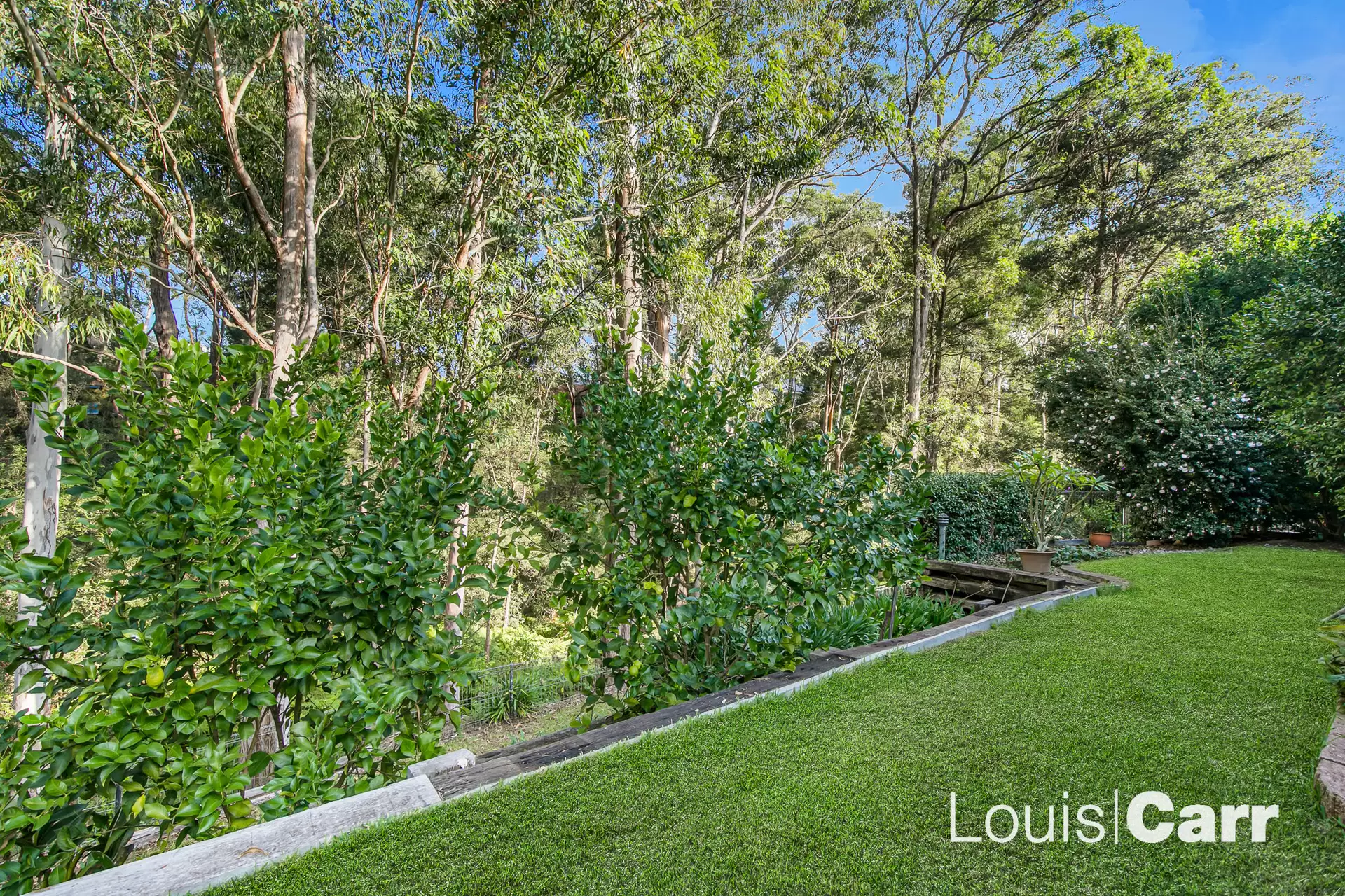 11 Elabana Crescent, Castle Hill Sold by Louis Carr Real Estate - image 6