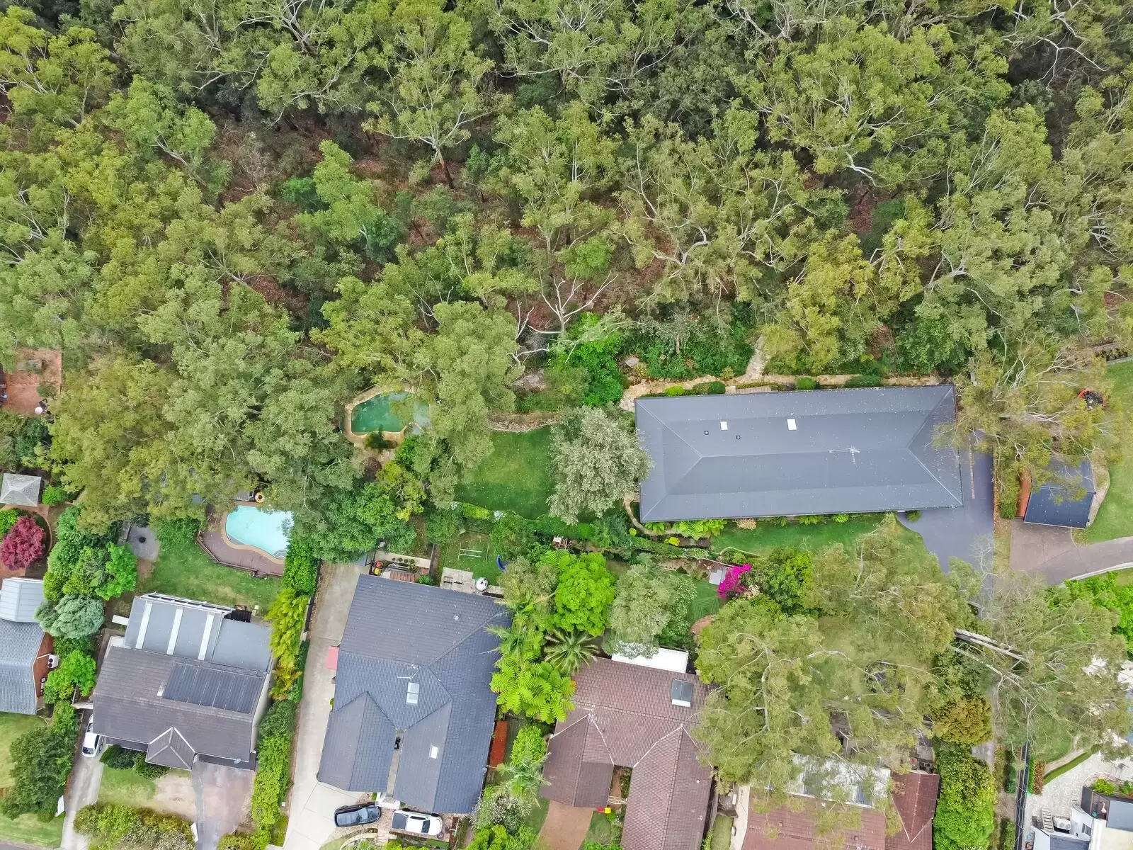 13 Greenbank Drive, Glenhaven Sold by Louis Carr Real Estate - image 9