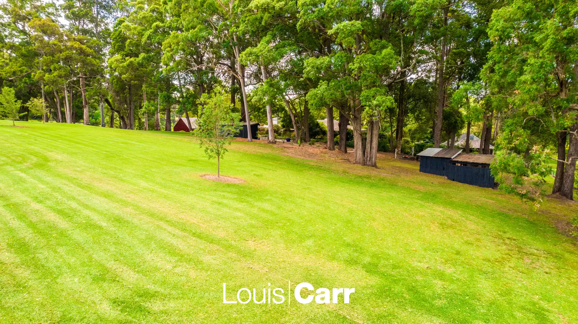 5 Wayfield Road, Glenhaven Sold by Louis Carr Real Estate - image 1