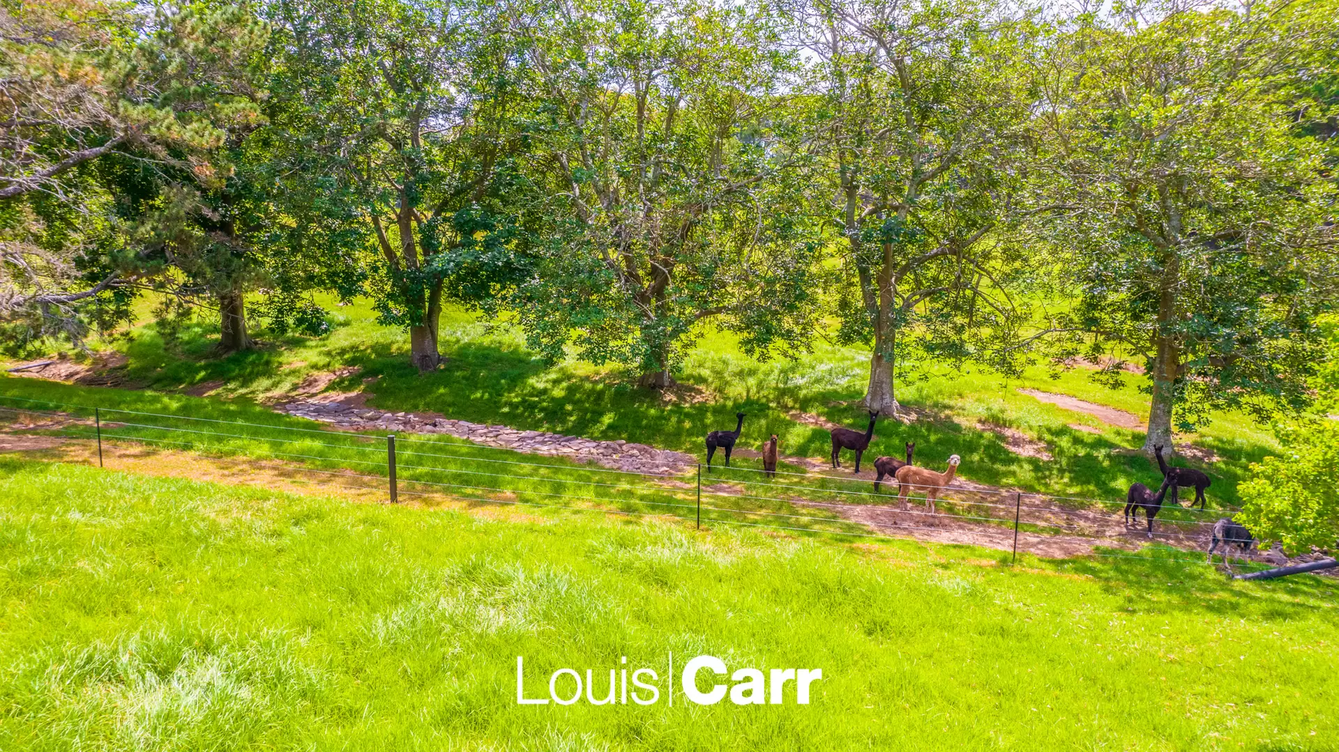 3 Wayfield Road, Glenhaven Sold by Louis Carr Real Estate - image 1