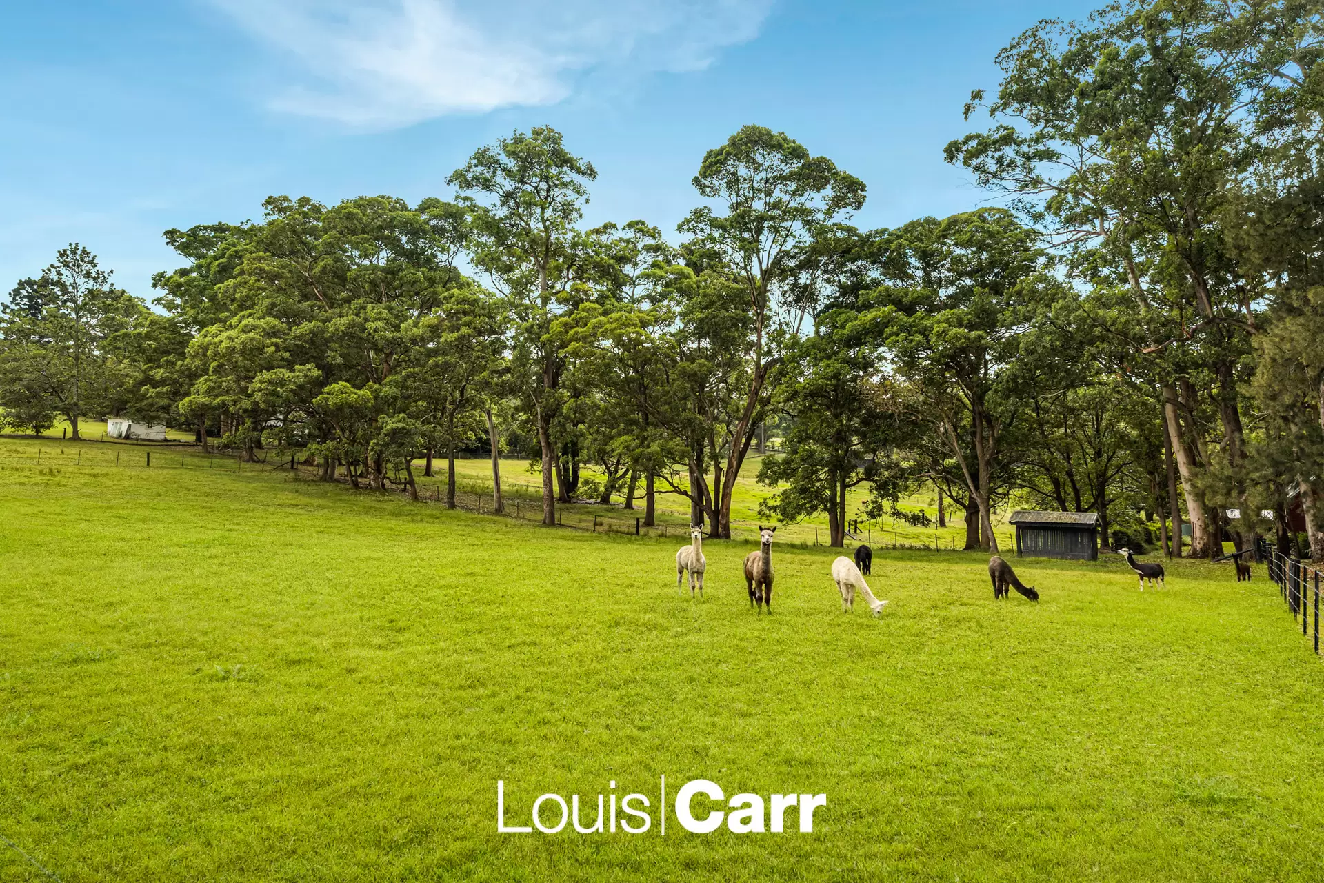 3 Wayfield Road, Glenhaven Sold by Louis Carr Real Estate - image 2
