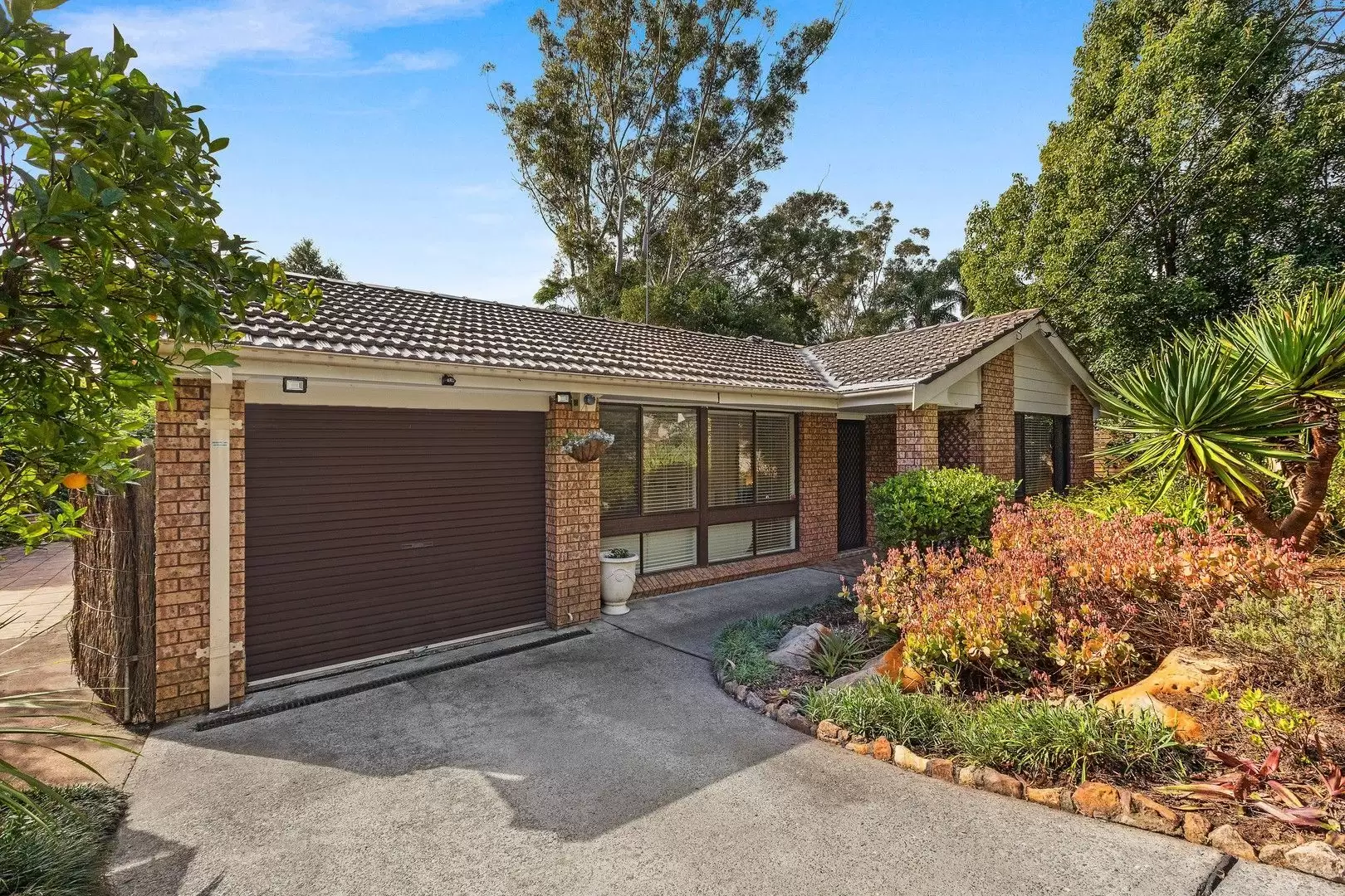 33 Wisteria Crescent, Cherrybrook Leased by Louis Carr Real Estate - image 8