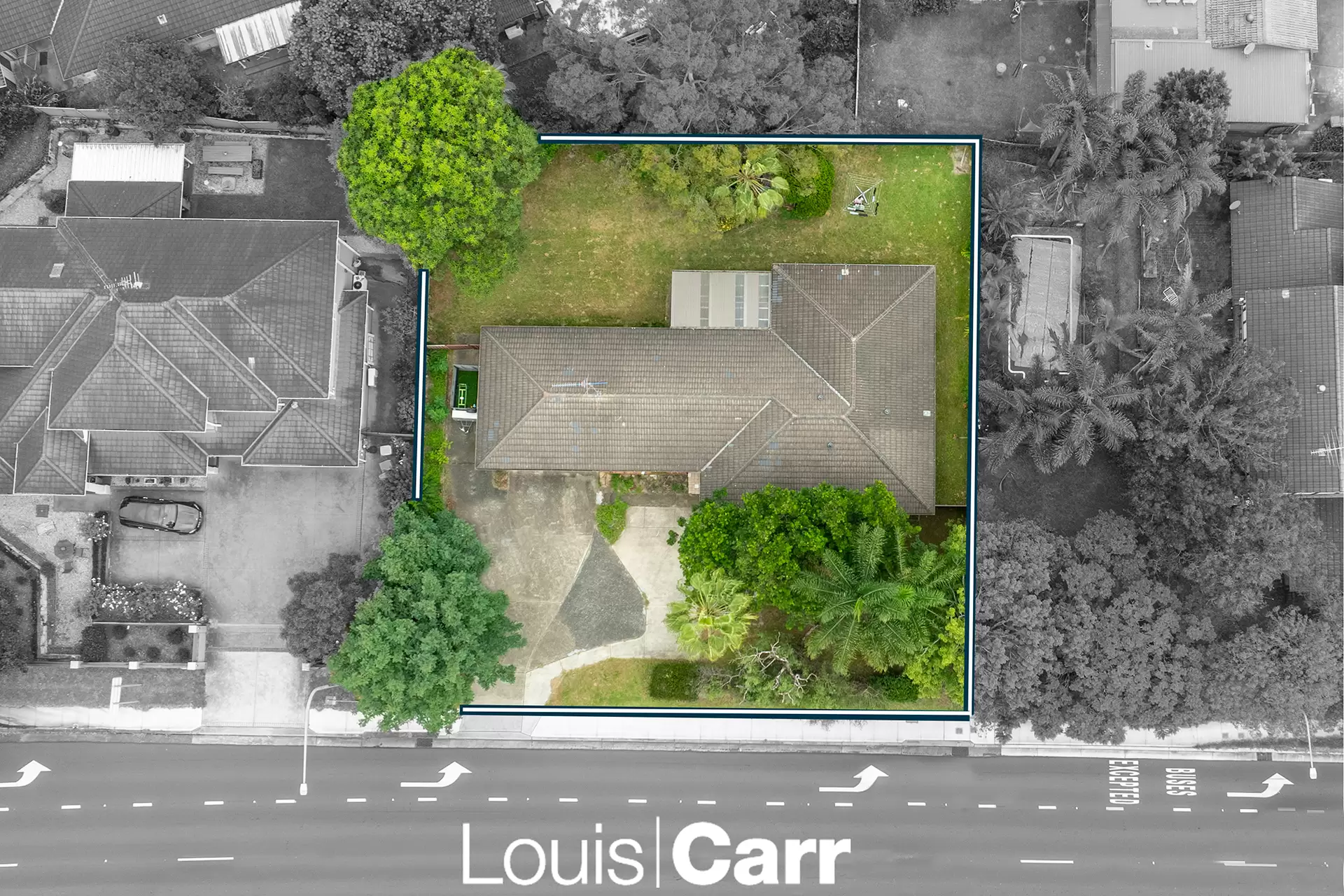 125 Showground Road, Castle Hill Sold by Louis Carr Real Estate - image 7