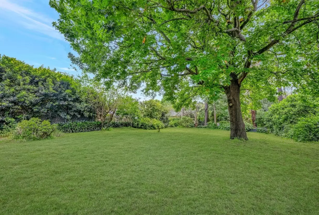 51 Lamorna Avenue, Beecroft Sold by Louis Carr Real Estate - image 7
