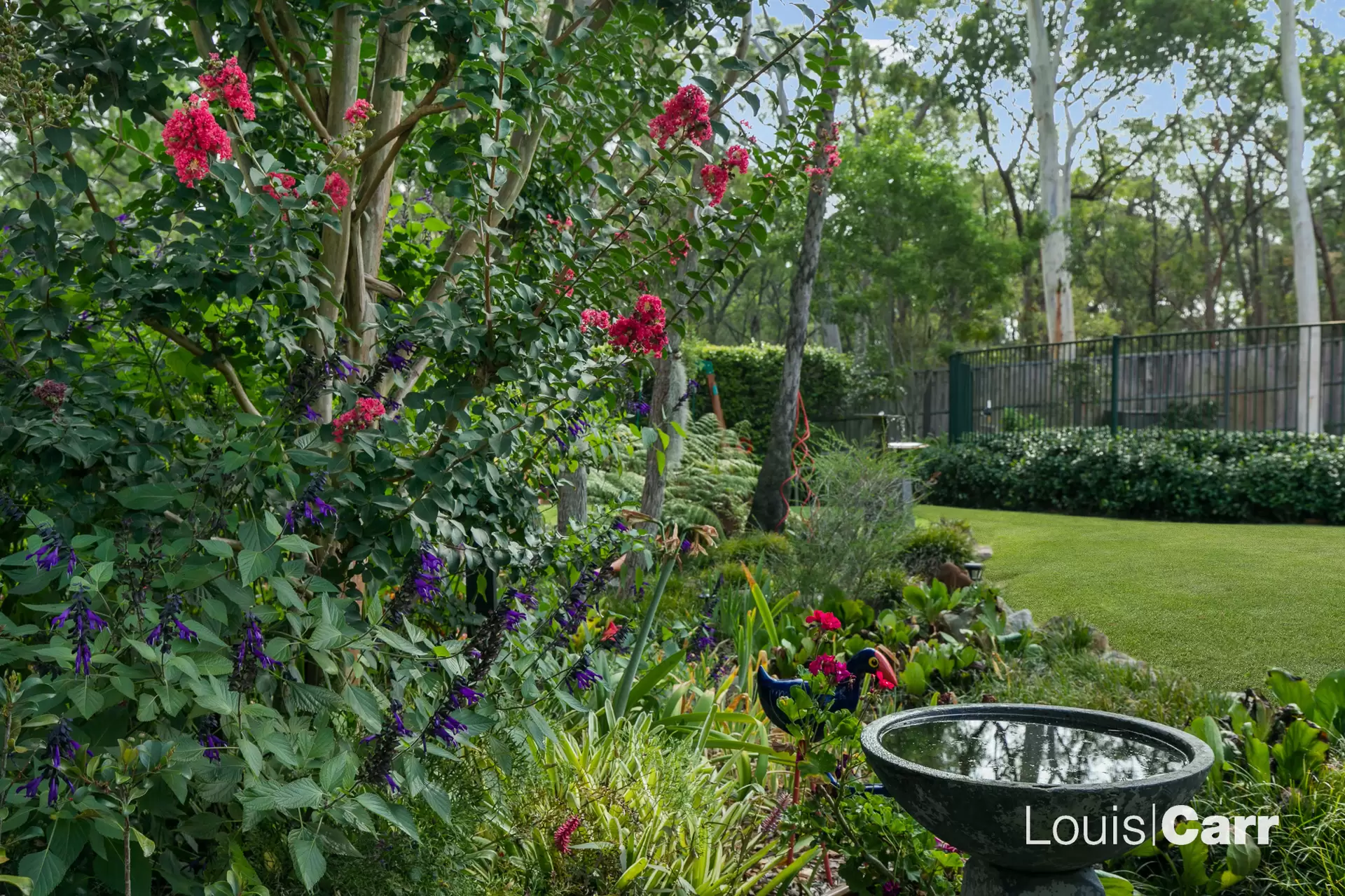 11 Knightsbridge Place, Castle Hill For Sale by Louis Carr Real Estate - image 20