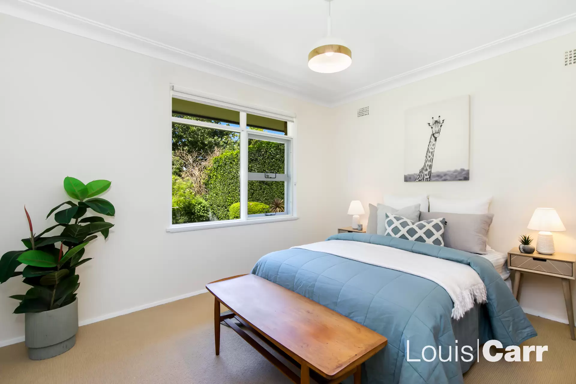 45 Lamorna Avenue, Beecroft Leased by Louis Carr Real Estate - image 8