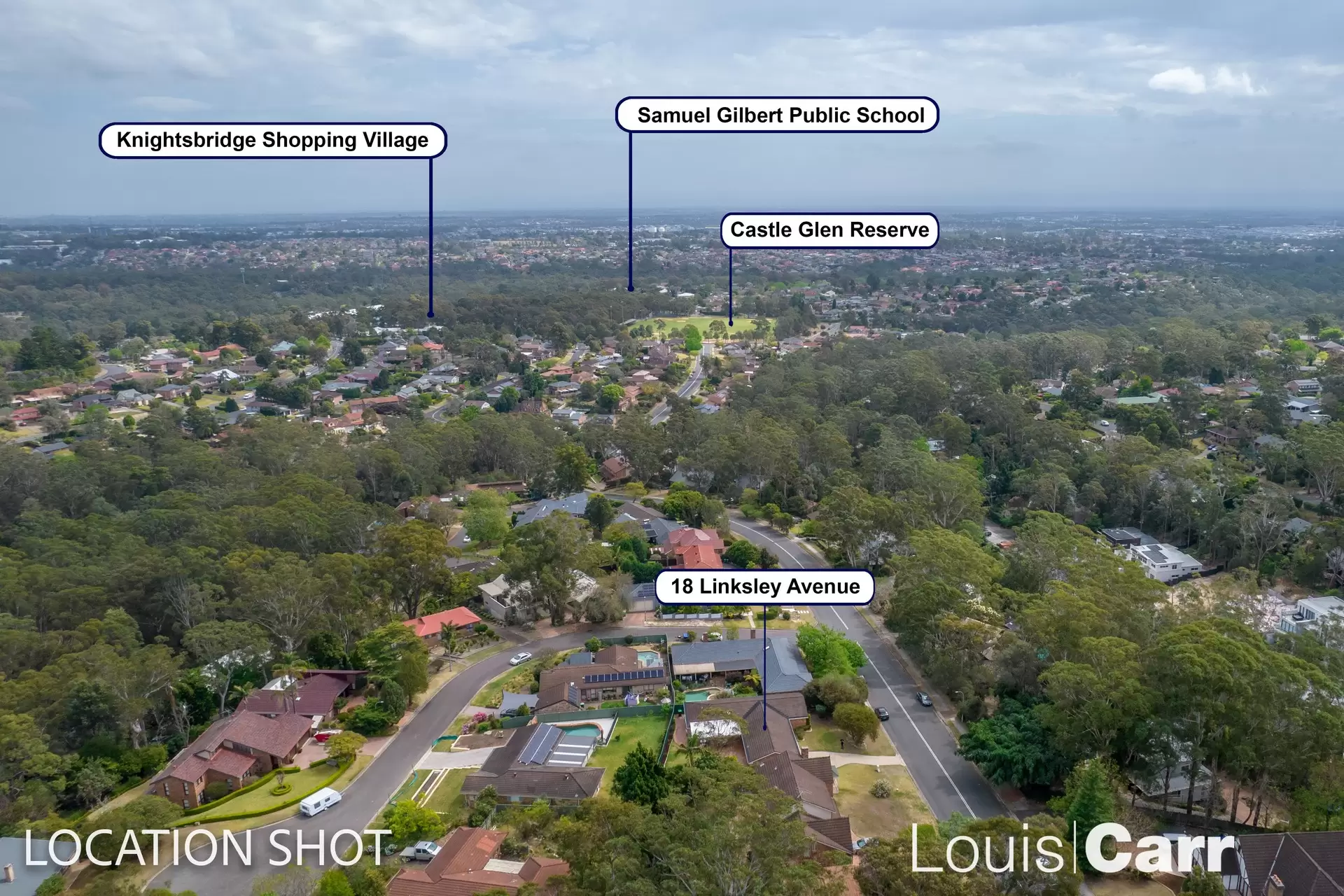 18 Linksley Avenue, Glenhaven Sold by Louis Carr Real Estate - image 16